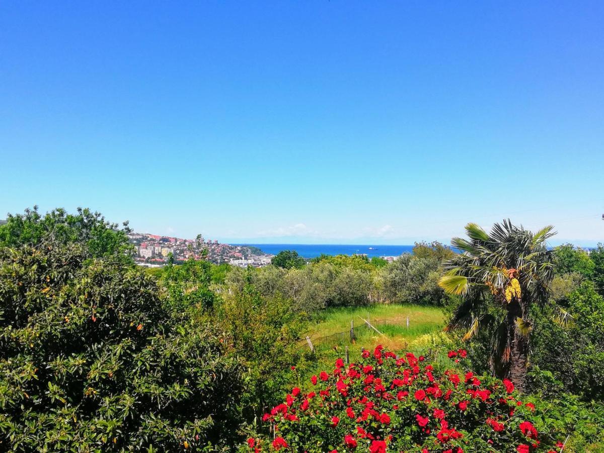 Peaceful View Apartment Koper Exterior foto