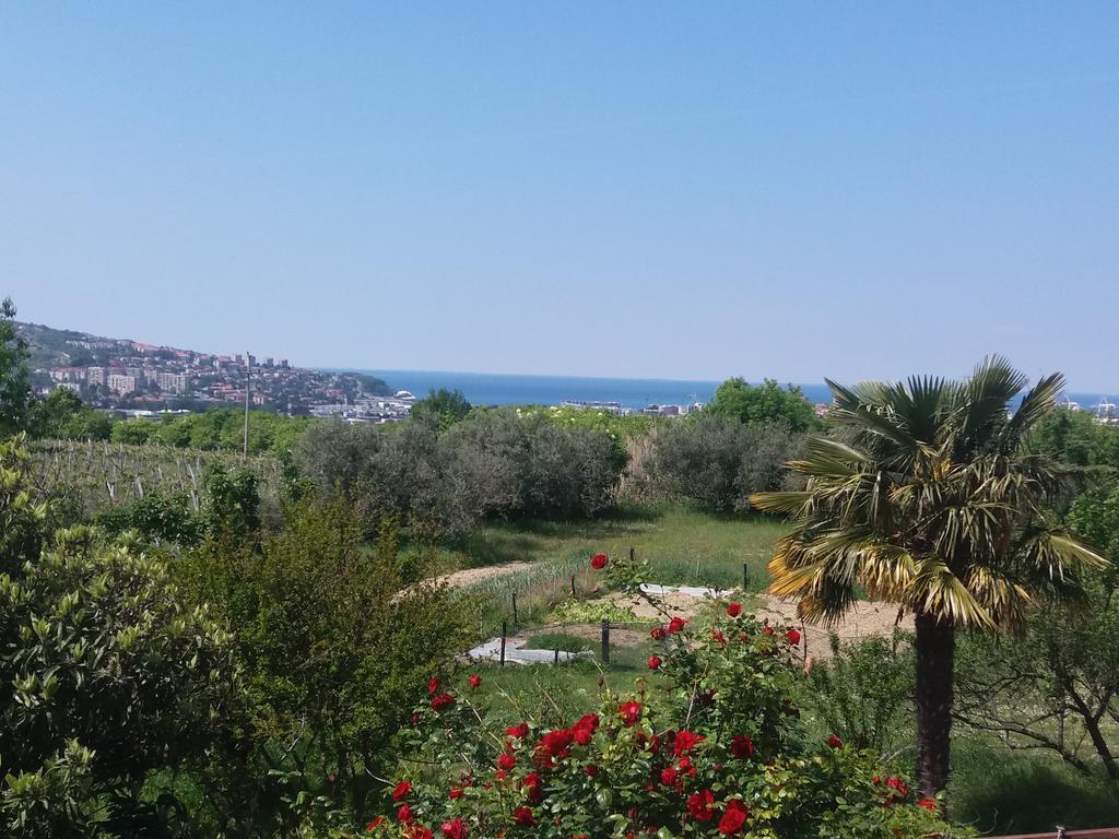 Peaceful View Apartment Koper Exterior foto